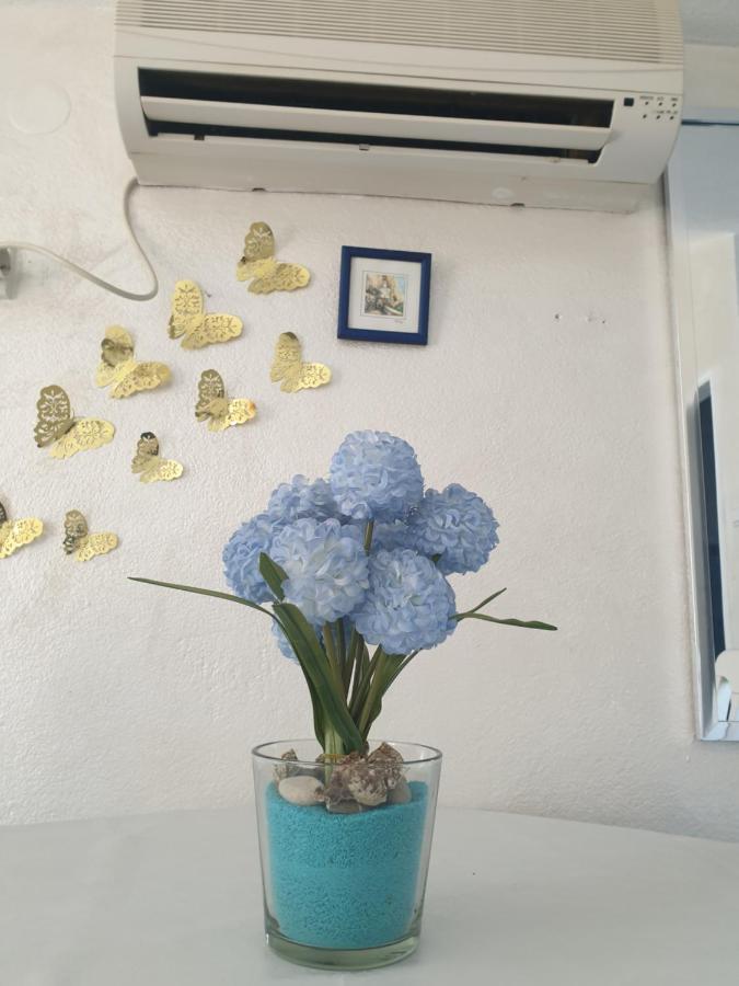 קוטור Savic Apartments מראה חיצוני תמונה