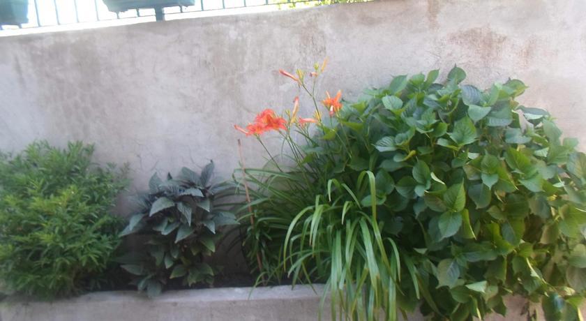 קוטור Savic Apartments חדר תמונה